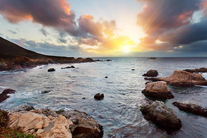 Monterey, Carmel and 17-Mile Drive: Full Day Tour from SF - Davenport Break: Coffee, Snacks, and Easy Restrooms