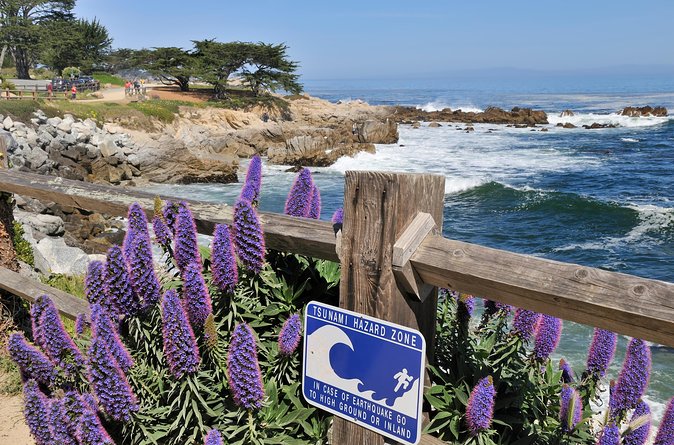 Monterey, Carmel and 17-Mile Drive: Full Day Tour from SF - 17-Mile Drive: The Included Photo Route Through Pebble Beach