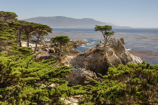 Monterey, Carmel and 17-Mile Drive: Full Day Tour from SF - Bird Rock Vista Point: Sea Lions, Noise, and a Quick Stop