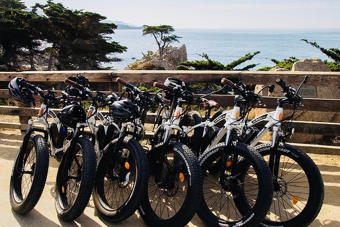 Monterey's 17 Mile Drive Guided Electric Bike Tour, 3 hr - Pacific Grove to Bird Rock: oceanfront views that start the ride strong
