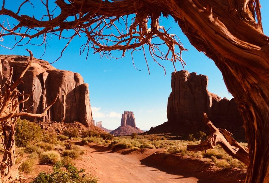 Monument Valley: Highlights Tour with Backcountry Access - Stops You Will Actually Spend Time On: From Mitten View to Artist Point
