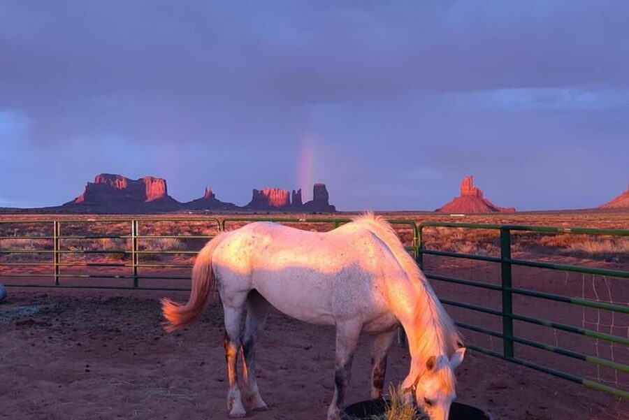 Monument Valley: Horseback Adventure Tour - Key points at a glance