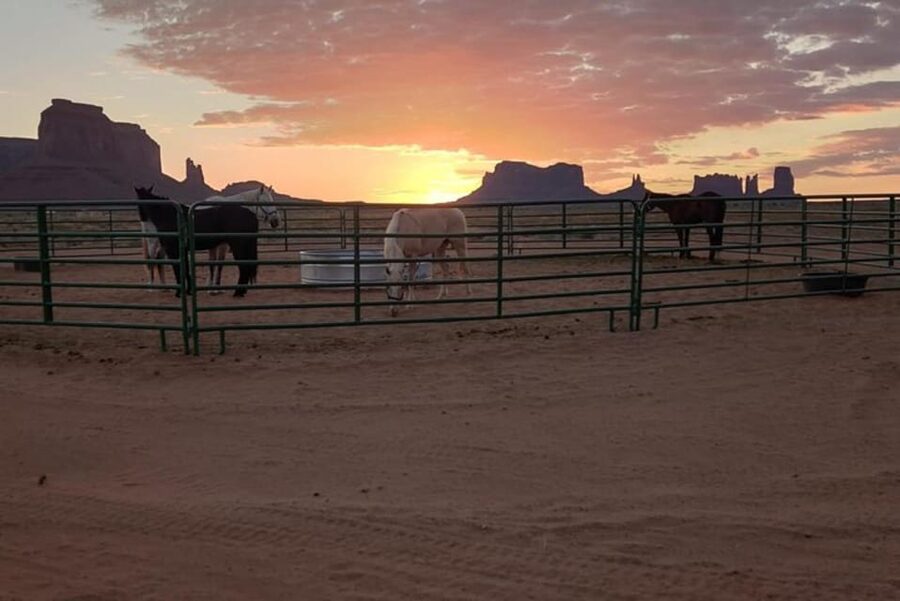 Monument Valley: Horseback Adventure Tour - Who This Horseback Tour Suits Best