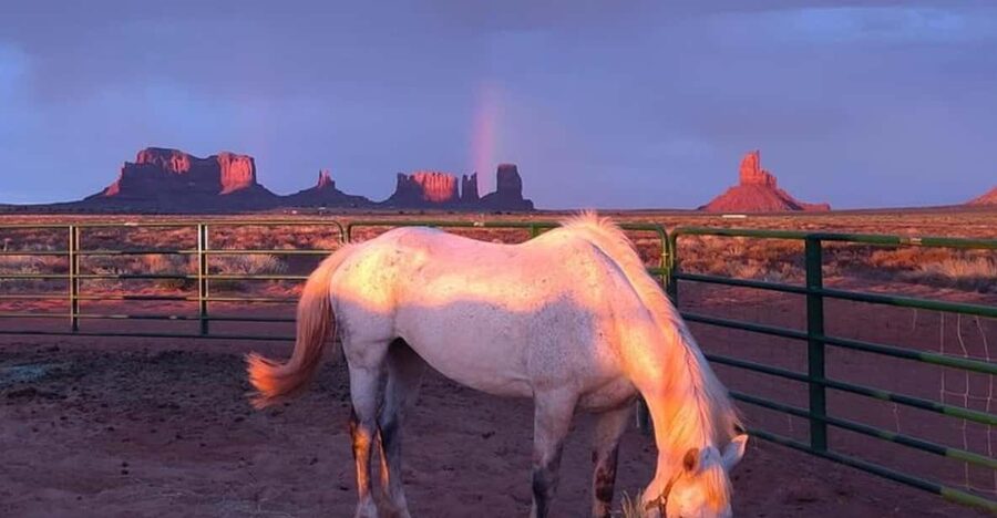 Monument Valley: Horseback Adventure Tour - Meeting at D/D MTA and Getting Matched to the Right Horse