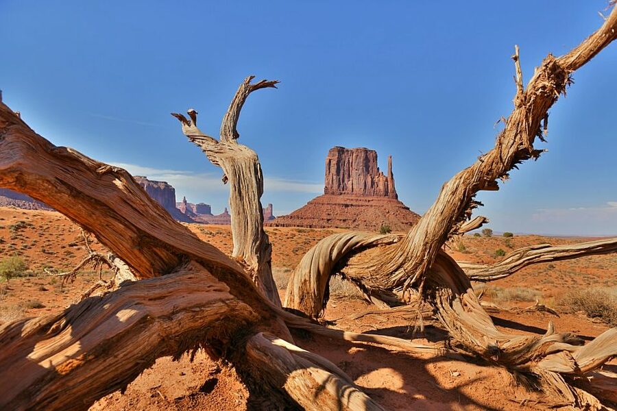 Monument Valley: Scenic 2.5-Hour Guided Tour - Timing, ride style, and what 2.5 hours really feels like