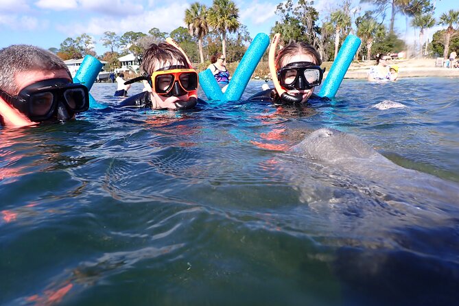 Most Popular 3hr Manatee Swim Tour + In-Water Guide! - Stop by Stop: Crystal River, Three Sisters Springs, and the National Wildlife Refuge
