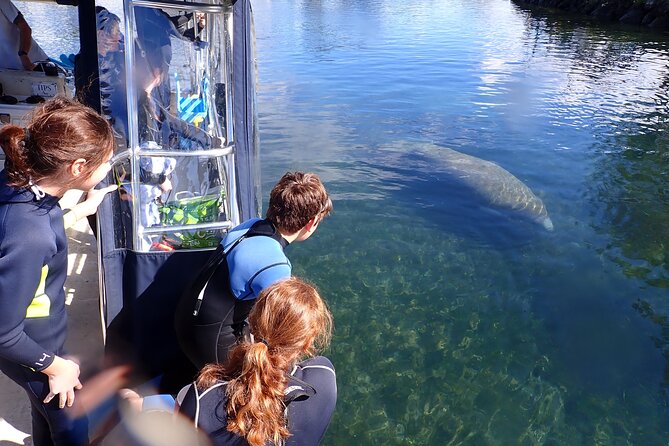 Most Popular 3hr Manatee Swim Tour + In-Water Guide! - Gear That Makes Floating Easier: Wetsuits, Masks, and Noodle Support