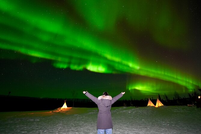 Mountaintop 360° Best Alaskan Cabin with Photography @Aurora Camp - Key points I think you’ll care about