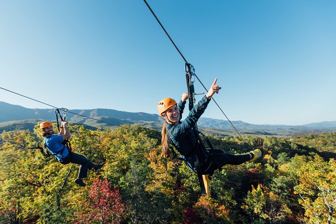 Mountaintop Zipline 2-Hours Activity - Six dual-line zipline runs: what the experience feels like