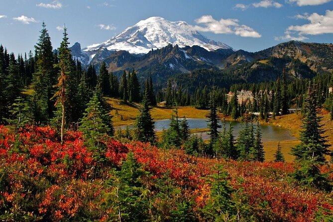 Mt. Rainier Day Tour from Seattle - Key things to know before you go