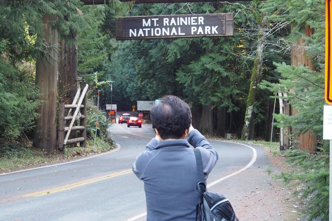 Mt. Rainier Day Tour from Seattle - Narada Falls and Christine Falls: the waterfall double feature