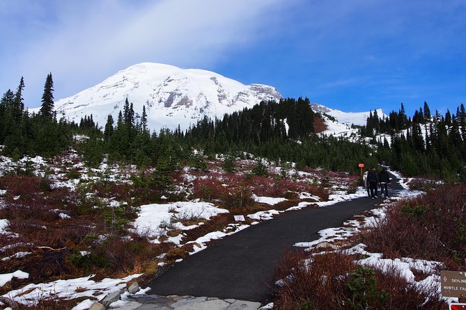 Mt. Rainier Day Tour from Seattle - Reflection Lakes, Tipsoo Lake, and Paradise access: the weather rules the day