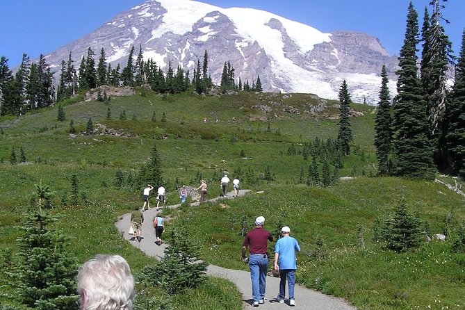 Mt. Rainier Day Tour from Seattle - Twin Firs Loop Trail and the smaller stops that make it feel real