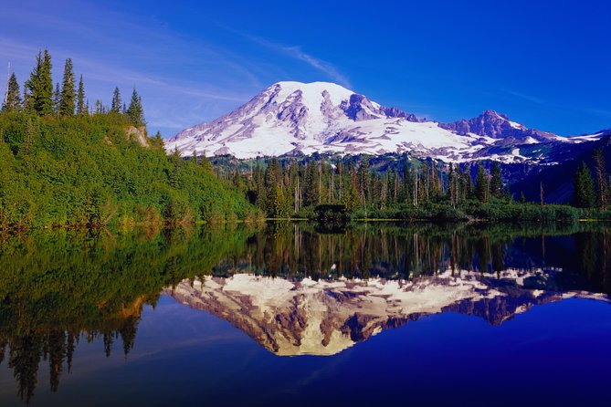 Mt. Rainier Day Tour from Seattle - Comfort details that matter on a mountain day