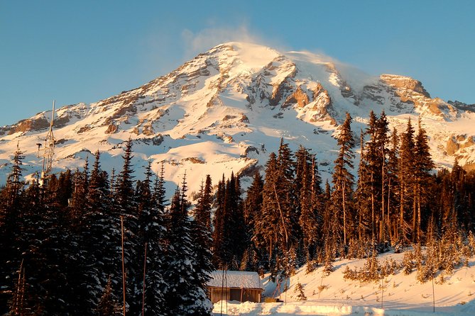 Mt. Rainier National Park Highlights Tour - Key highlights worth planning around