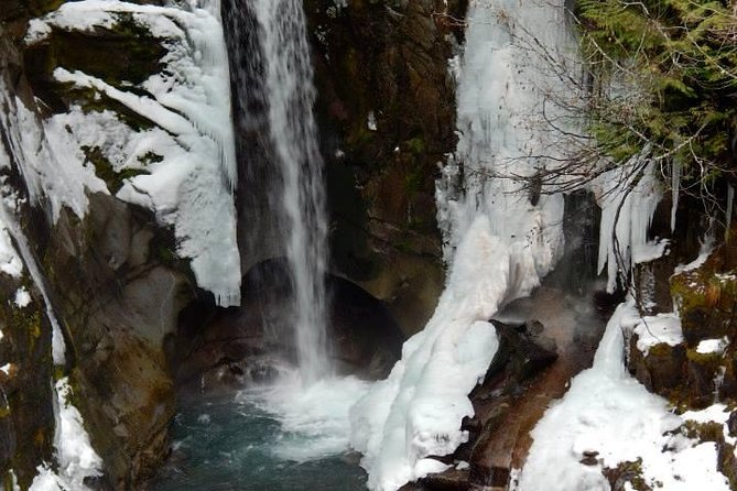 Mt. Rainier National Park Highlights Tour - Entering Mt. Rainier from Seattle without the car headache