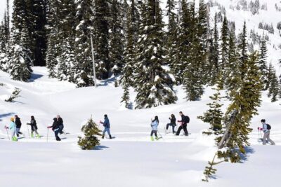 Mt. Rainier National Park Highlights Tour