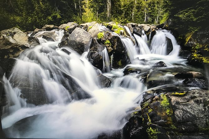 Mt. Rainier National Park Highlights Tour - Paradise Valley at 5,400 feet: lunch, visibility, and winter limits