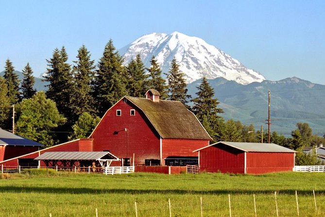 Mt. Rainier National Park Highlights Tour - Summer swaps: Sunrise Visitor Center and Tipsoo Lake Loop