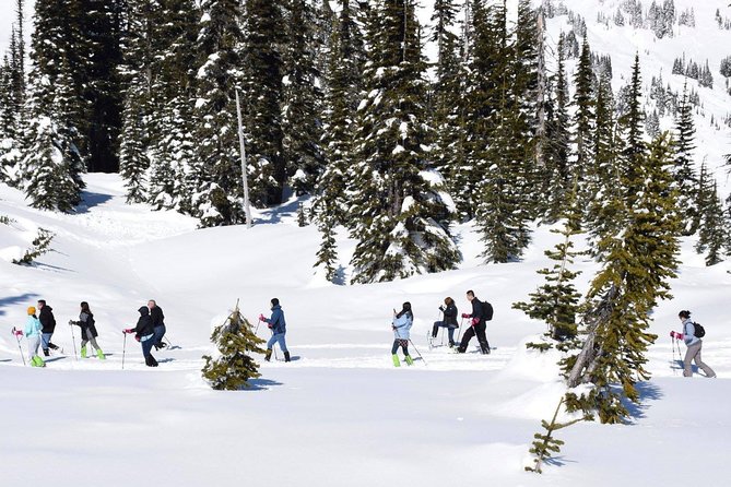 Mt. Rainier National Park Highlights Tour - 7:20 am pickup, a 10 to 12 hour day, and realistic pacing