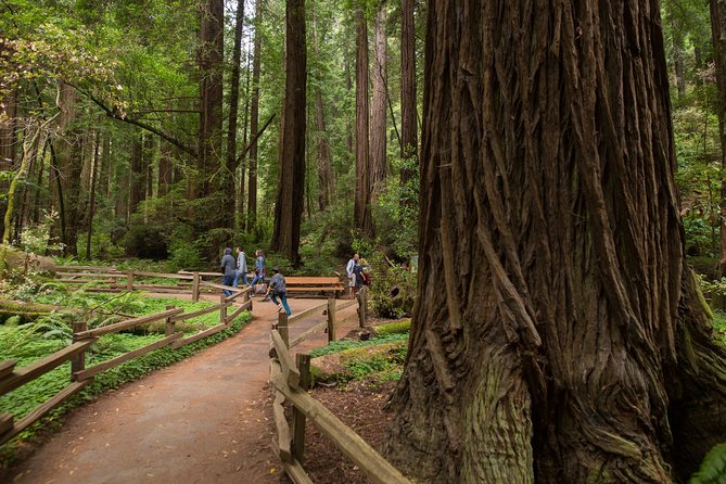 Muir Woods and Sausalito (Return by Bus or Ferry) - Where you meet: Union Square vs Fisherman’s Wharf