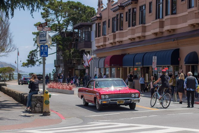 Muir Woods and Sausalito (Return by Bus or Ferry) - Sausalito in one hour: shops, waterfront views, and where to focus