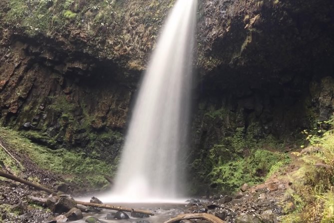 Multnomah Falls and Columbia River Gorge Half-Day Hiking Tour - The hiking level: doable steps, steep choices, and shoe advice
