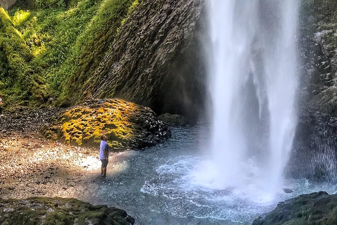 Multnomah Falls and Columbia River Gorge Half-Day Hiking Tour - Getting there in comfort: minivan, timing, and small-group vibes