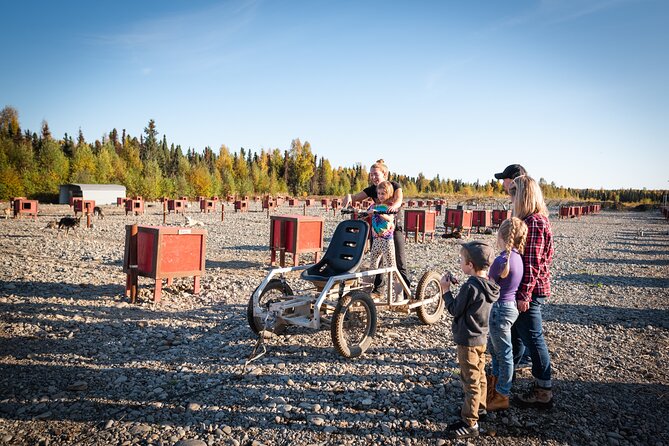 Mush Your Own Sled Dog Team (Summer/Fall Tour) - Checkpoint water break and photo time with your dog team