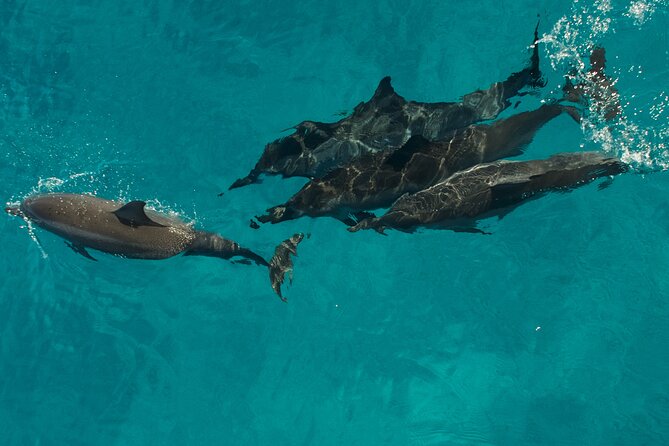 Na Pali Coast Half-Day Raft and Snorkel Adventure - Food and timing: a half-day that does not leave you hungry