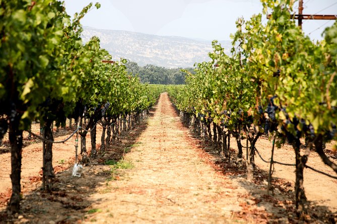 Napa and Sonoma Wine Country Full-Day Tour from San Francisco - Golden Gate Bridge North Vista Point: Short Stop, Big Views