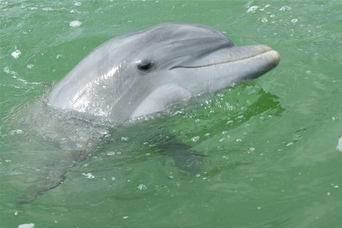 Naples Sightseeing Boat Tour - Gordon River to the Gulf: The Route and the Story You Hear