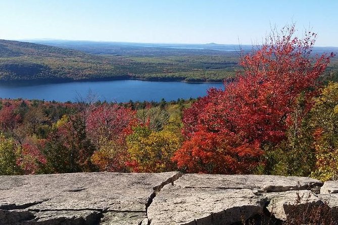 Narrated Bus Tour of Bar Harbor and Acadia National Park - Comfort, windows, and practical tips for the day