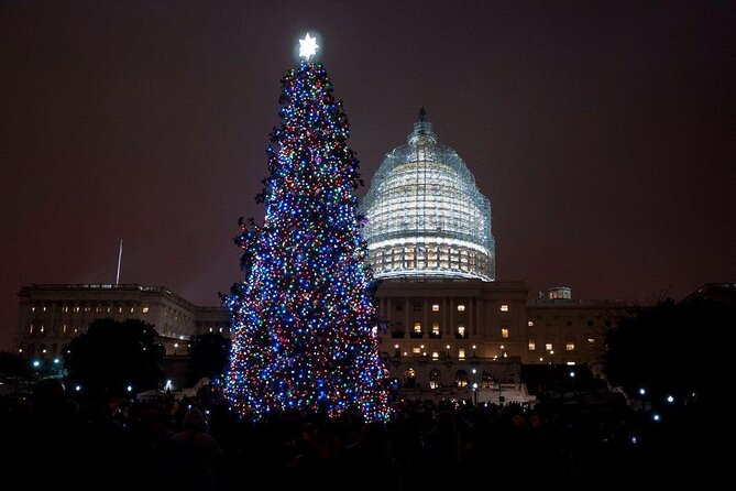 National Mall Monuments Night Tour with 10+ Stops, Entry Tickets - Key things you will care about