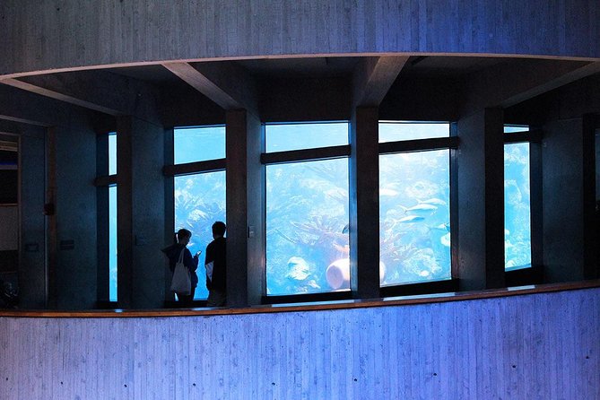 New England Aquarium Admission Ticket in Boston - Key points at a glance