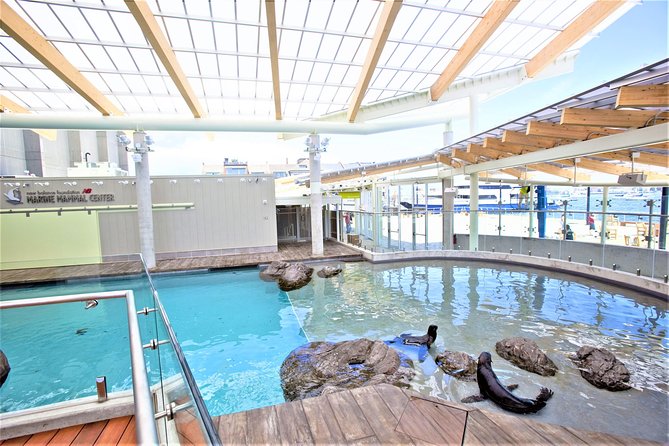New England Aquarium Admission Ticket in Boston - The Giant Ocean Tank: The Main Show Across Multiple Floors