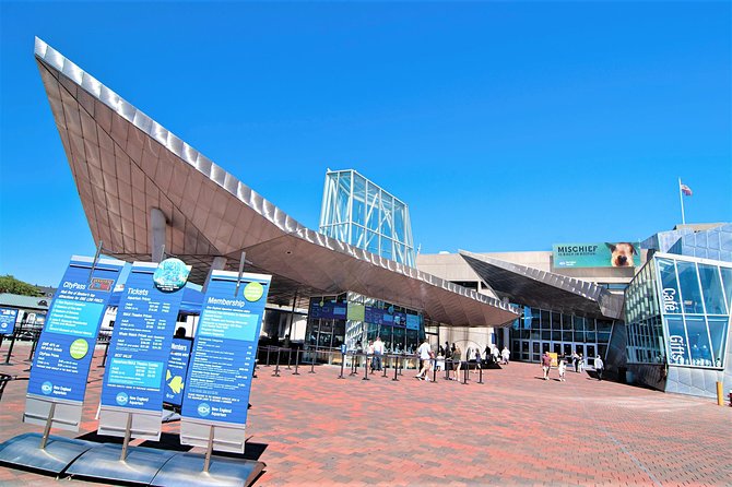 New England Aquarium Admission Ticket in Boston - Inside the Aquarium: Four Levels of Marine Life