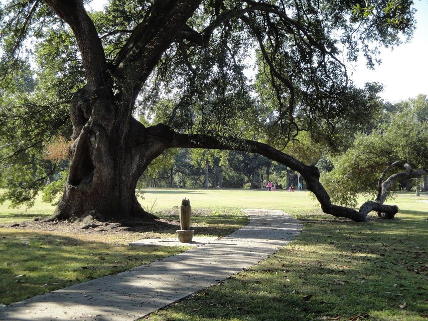 New Orleans: 2-Hour 15-Minute City and Cemetery Tour by Bus - Getting oriented in New Orleans, fast, from hotel pickup