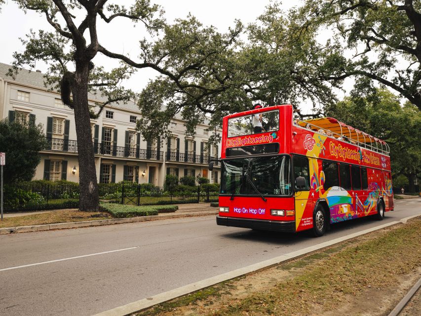 New Orleans: 2 or 3 Day Hop-On Hop-Off Bus with Walking Tour - How the open-top double-decker ride actually helps you in New Orleans