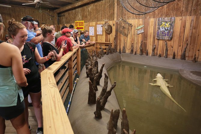 New Orleans Airboat Ride - Timing and Weather: What to Wear for Wind, Spray, and Sun