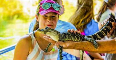 Bayou Swamp Tour and Oak Alley Plantation Tour