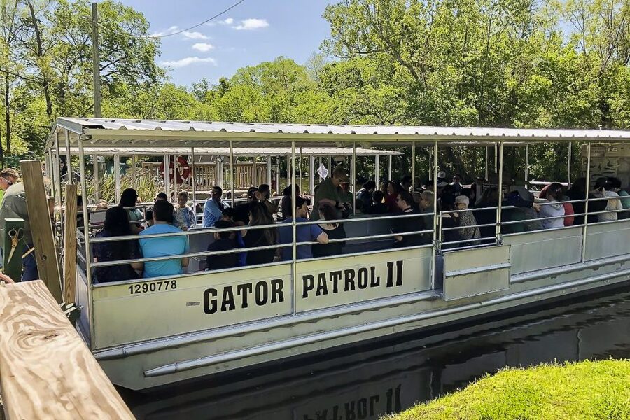 New Orleans: Bayou Swamp Tour and Oak Alley Plantation Tour - Cajun Pride time on land: snacks, restrooms, and a quick reset