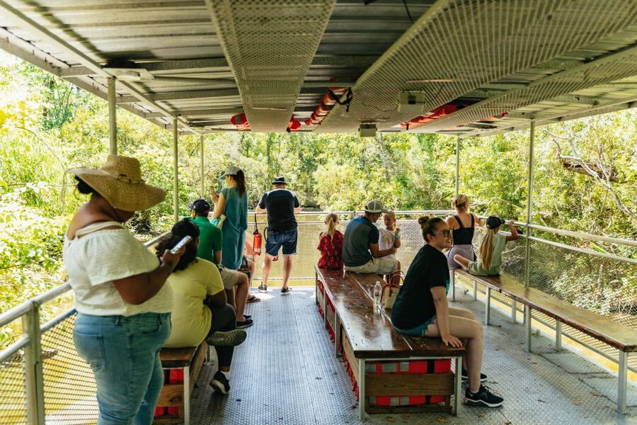 New Orleans: Bayou Tour in Jean Lafitte National Park - Key things to know before you go