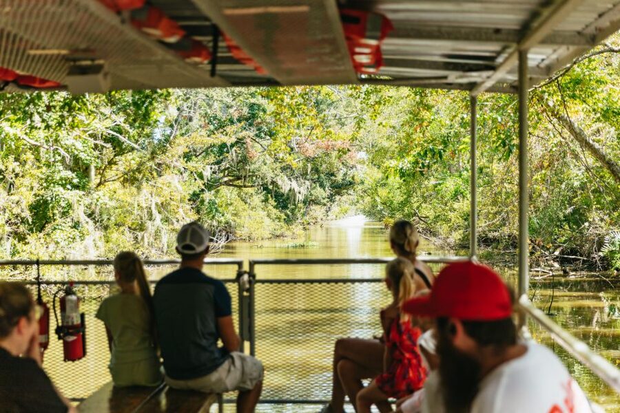 New Orleans: Bayou Tour in Jean Lafitte National Park - The pontoon boat cruise: comfy, view-friendly, and practical