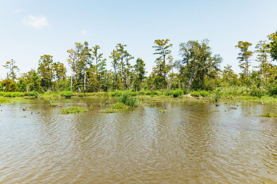 New Orleans: Bayou Tour in Jean Lafitte National Park - Legends, lore, and the human touch of the swamp guide