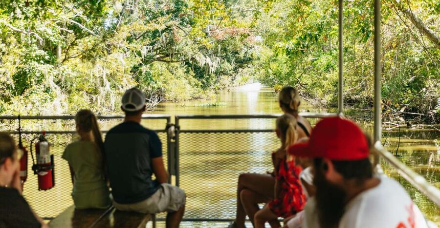 New Orleans: Bayou Tour in Jean Lafitte National Park - Sunshine the Pig and Patrick the Possum, a surprisingly good bonus