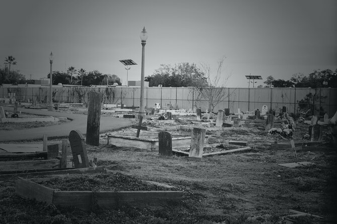 New Orleans Cemetery Bus Tour with Exclusive Cemetery Access - Drive-By Cemeteries: What You’ll See From the Bus Windows