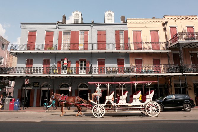New Orleans City Sightseeing Hop-On Hop-Off Bus Tour - Why this hop-on hop-off loop fits New Orleans so well