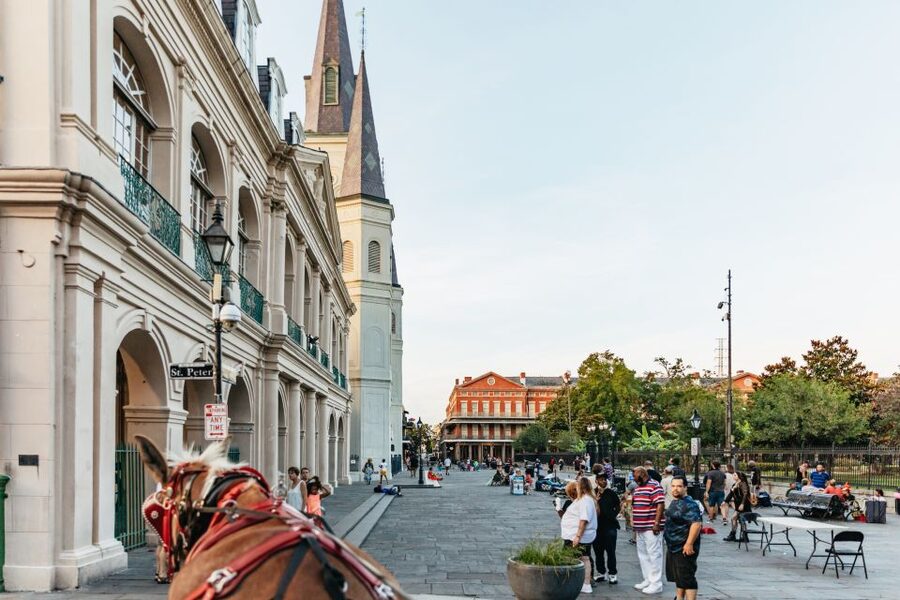 New Orleans: French Quarter Sightseeing Carriage Ride - Napoleon House, French Market, and Bourbon Street, from a calmer seat