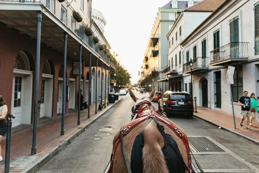 New Orleans: French Quarter Sightseeing Carriage Ride - Faubourg Marigny: architecture and music, with less main-street pressure